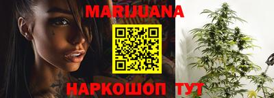 индика Будённовск