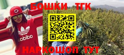 индика Будённовск