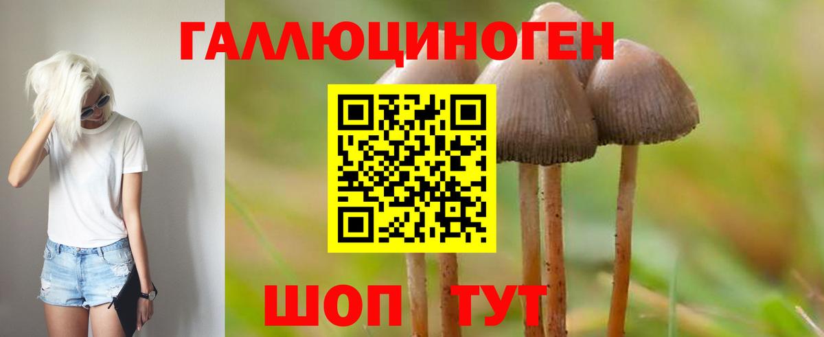 Октябрьский  Псилоцибиновые грибы Magic Shrooms  Вход с VPN  Псилоцибиновые грибы Cubensis 